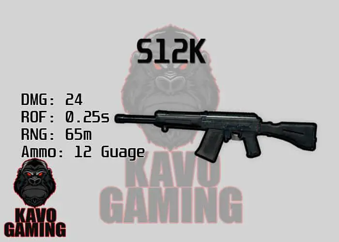 Stats for the S12K in PUBG